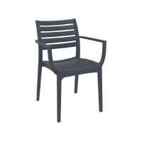 Artemis Armchair - Anthracite